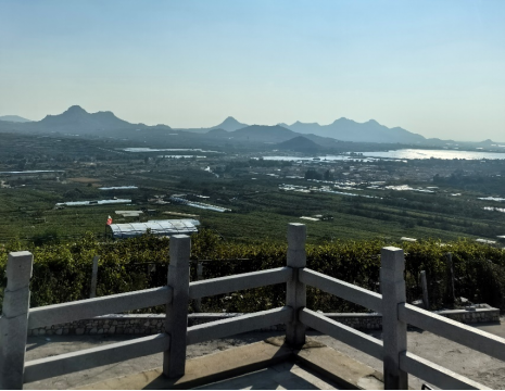 平度大澤山葡萄園引進(jìn)萊恩德土壤肥料檢測(cè)儀， 輕松掌握土壤營(yíng)養(yǎng)